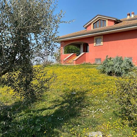 Belle Marche Bed and Breakfast Civitanova Alta Buitenkant foto