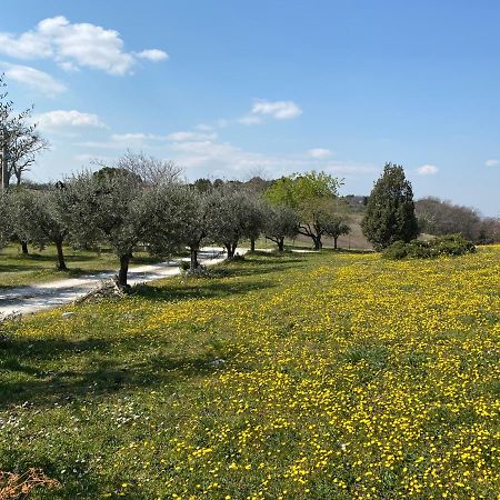 Belle Marche Bed and Breakfast Civitanova Alta Buitenkant foto